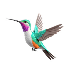 Fototapeta premium Vibrant 3D Hummingbird in Flight Against a Transparent Background