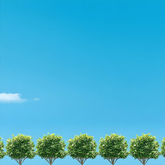 Obraz premium Green trees, blue sky, nature, spring