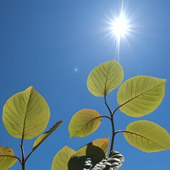 Sunny day, leaves, blue sky, plant; nature background