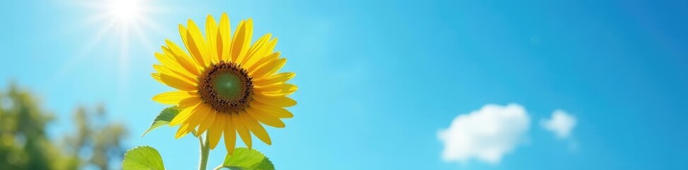 Naklejka premium Single yellow sunflower against a bright blue summer sky with some greenery around it, sunflower, leaves