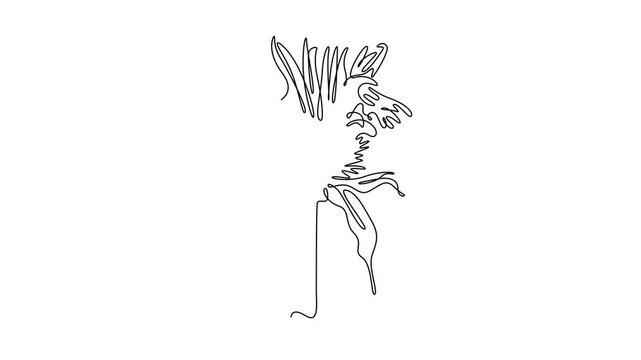 Animated self drawing of continuous line draw beauty fresh monarda for garden logo. Decorative horsemint oswago tea flower concept for floral invitation card frame. Full length single line animation