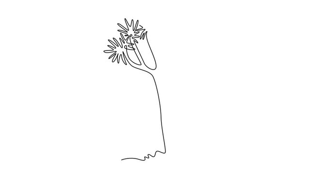Animated self drawing of continuous line draw quiver tree forest. Decorative aloidendron dichotomum for home decor wall art poster print. Tourism and travel series. Full length single line animation