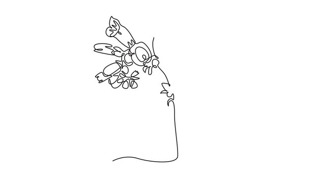 Animated self drawing continuous line draw beauty fresh digitalis purpurea for home art wall decor poster print. Decorative foxglove flower concept greeting card frame. Full length one line animation