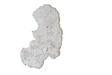 A map of a country printed on a piece of paper, often used as a reference for travel or planning.