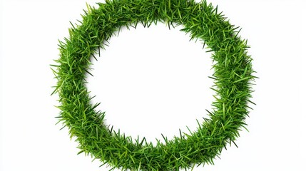 Green Wreath Made of Fresh Grass Perfect for Seasonal Decorations
