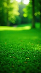 Naklejka premium Short, finely cut golf course grass, rich emerald green, fairway, ecology