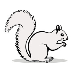 Vector illustration of a squirrel in gray color that sits sideways