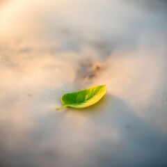 leaf in water