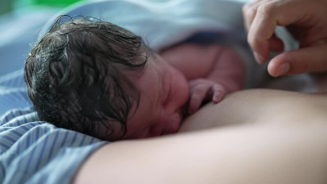 Closeup of newborn breastfeeding for the first time after childbirth, bonding time with mother during first minutes of life