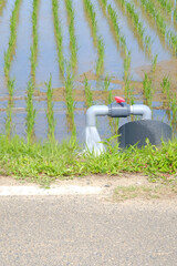 田んぼに水を満たす