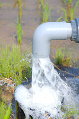 田んぼに水を満たす