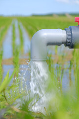 田んぼに水を満たす