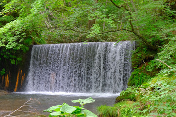 大自然の中で流れ落ちる滝の水