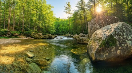 Obraz premium Sunny stream flowing through forest; peaceful nature scene, ideal for travel brochures