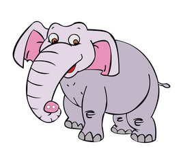 Elephant smiling isolated on white background