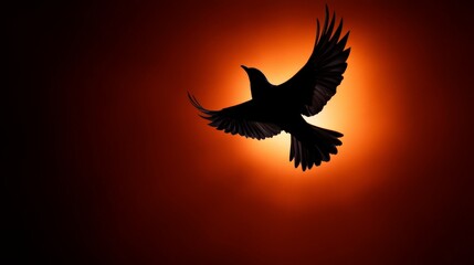 Obraz premium Silhouette of Bird in Flight: A dramatic silhouette of a bird in flight, wings outstretched against a fiery sunset, evoking a sense of freedom and wonder.