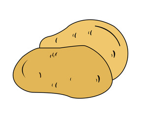 Fresh potato isolated on white background