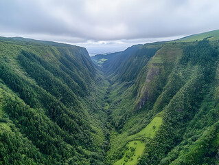Fototapeta premium Aerial view of lush valley, island landscape