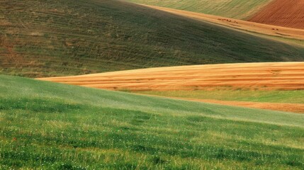 Obraz premium Rolling hills with vibrant green and golden fields under a clear blue sky during daylight