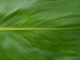 Lush green leaf vein texture background