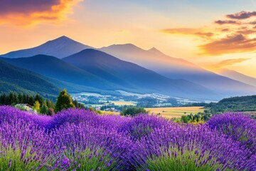 A vibrant lavender field at sunset, surrounded by majestic mountains and a picturesque valley, showcasing nature's beauty and tranquility.
