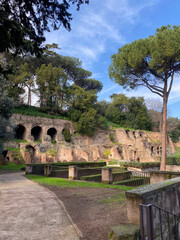 Archaeological ruins of the Roman Forum, Colosseum archaeological park 2025