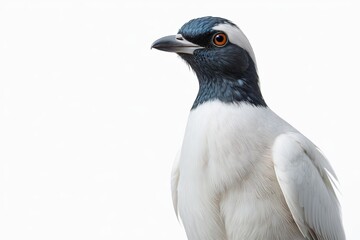 there is a bird that is standing on a branch