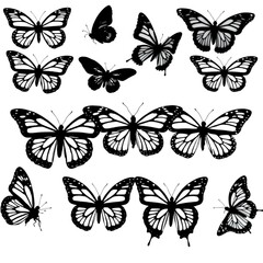 set of butterflies isolated on white