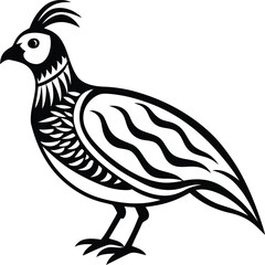 Quail silhouette vector illustration design, Beautiful Quail line art vector
