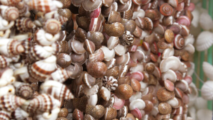 Decorative items made with seashells displayed in a handicraft shop