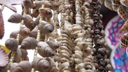Decorative items made with seashells displayed in a handicraft shop