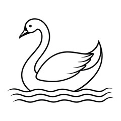 swan-gliding 