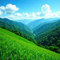 Obraz premium Lush greenery covers the slope of mountains that touch the blue sky above, greenery, mountain slope, forest