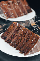 Close-up of a slice of rich layered chocolate coffee cake on a white plate, showcasing moist layers and creamy chocolate frosting