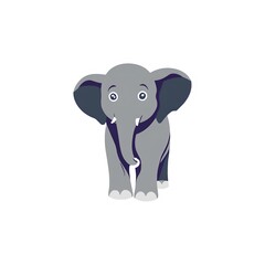 Fototapeta premium Elephant Isolated