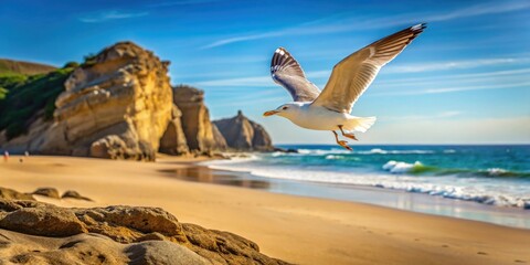 Naklejka premium Seagull flying over sandy beach with small rocky outcropping in the foreground, wildlife, beach scene, sand, coastline