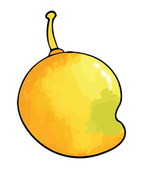 A fresh mango fruit vector illustration