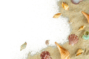 aesthetic beach sand with shells copy space