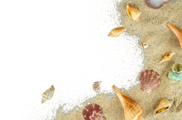 aesthetic beach sand with shells copy space