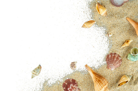 aesthetic beach sand with shells copy space