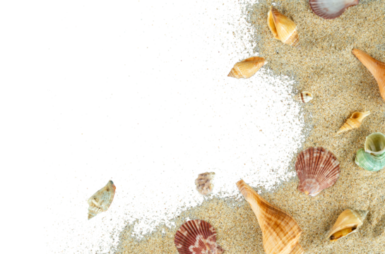 aesthetic beach sand with shells copy space