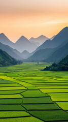 Fototapeta premium Lush green rice fields stretch across valley surrounded by mountains at sunset