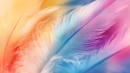 Fototapeta premium Colorful, soft feathers in vibrant hues of pink, blue, and yellow creating a dreamy background