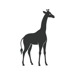 Giraffe silhouette vector illustration art design. Giraffe vector design isolated on white background. Wild animals, wild creatures, wildlife concept. Cartoon animal in flat style.