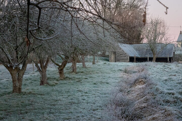 A frosty, winter's morning in the countryside with a French lavoir and a row of apple trees.