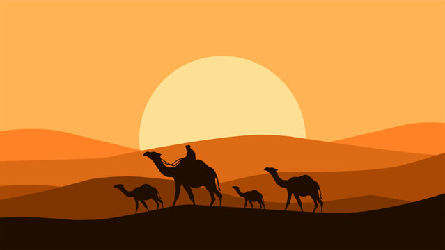 Illustration of camel convoy trekking through a sandy desert. Vector illustration of safari in arabian desert landscape with camels. Silhouette of panorama dune desert with group of camel and a herder