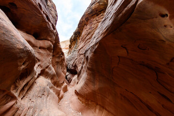 Eroded by water and wind cliffs in the canyon, Little Wild Horse Canyon, San Rafael Swell, Utah