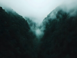 Fototapeta premium Misty mountain valley, aerial view (1)