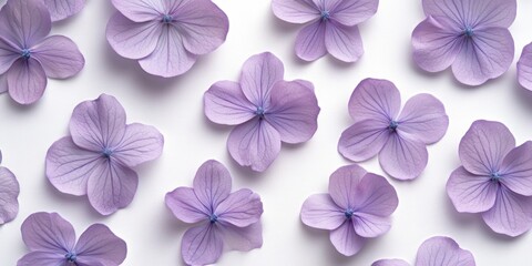 Purple Flower Petals Decor