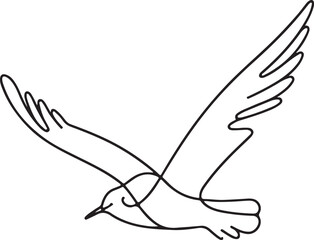 Elegant Line Drawing of a Flying Seagull in Vector Art